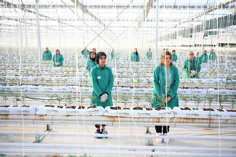 Kırklareli’nde jeotermal enerjiyle tarımda devrim