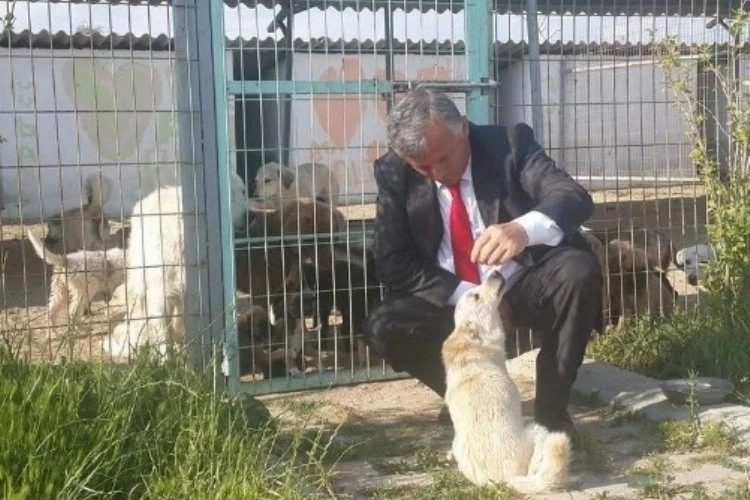 İpsala Sokak köpeklerine sahip çıkacak