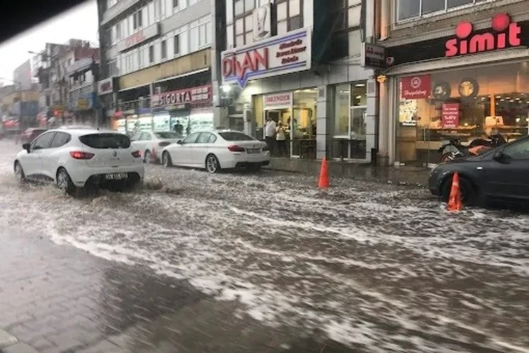 Bursa