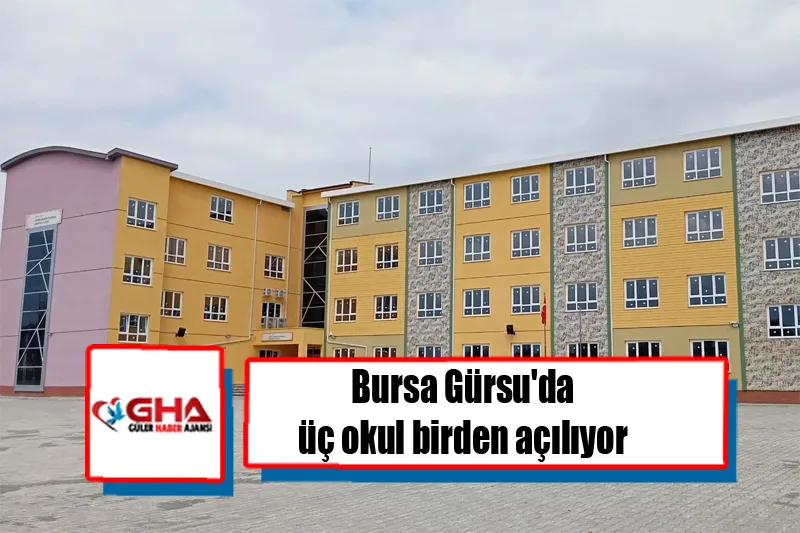 Bursa Gürsu