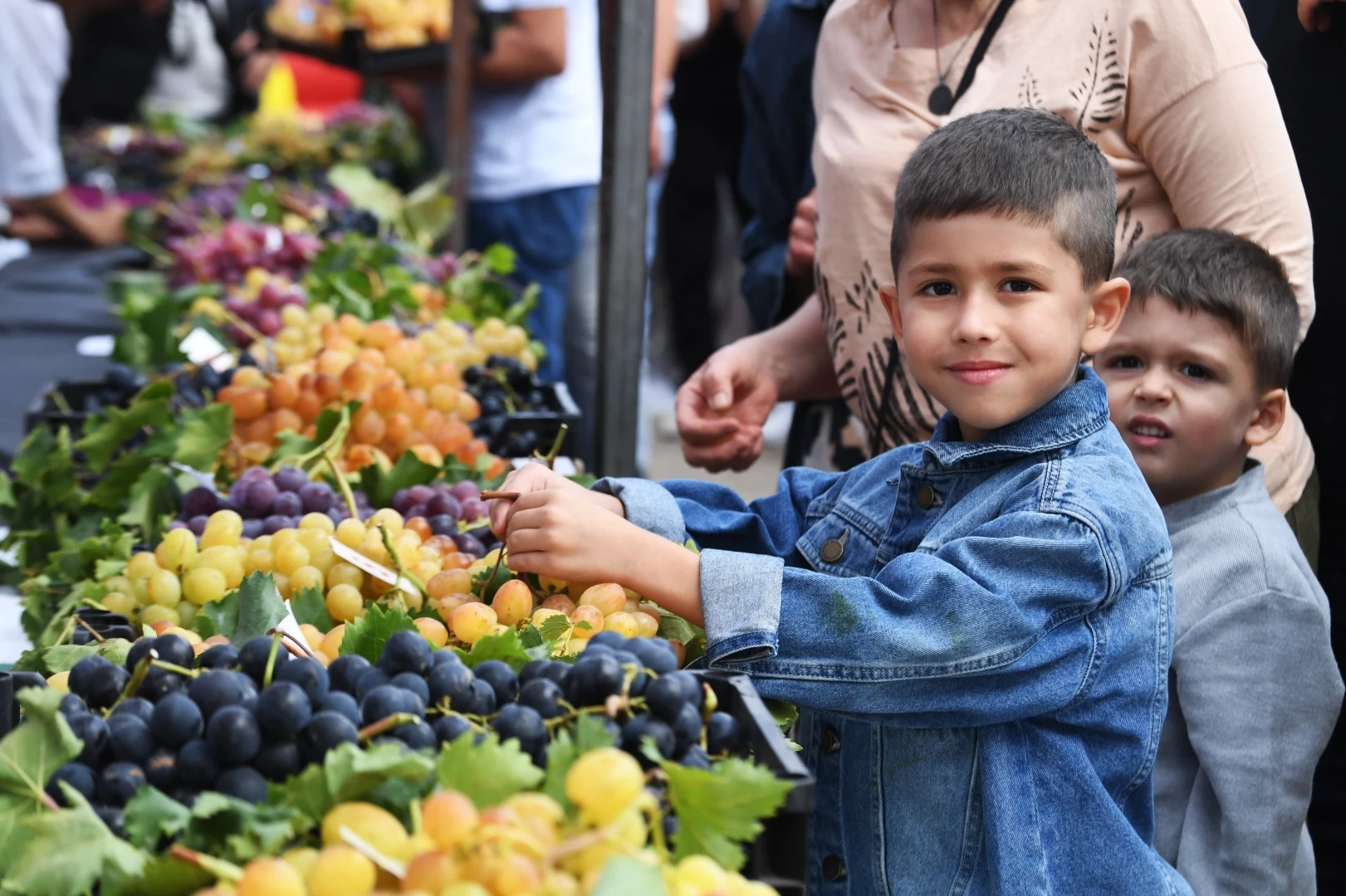 Bursa Osmangazi’nin en güzel üzümleri seçildi