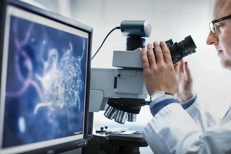 Hizmette en yüksek artış mesleki ve bilimsel oldu