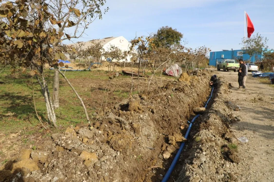 Ordu’da fındıkta verim için damlama sulama dönemi