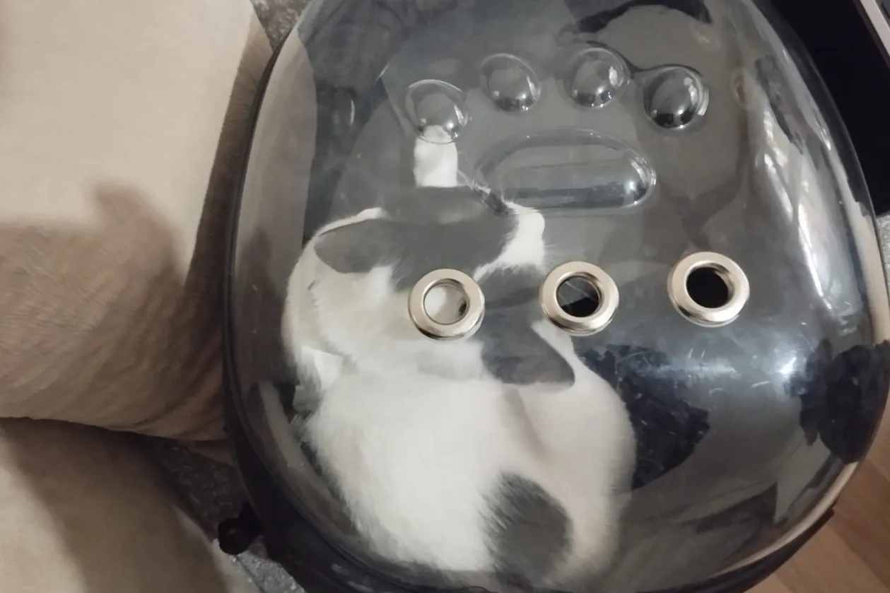 Kayseri Büyükşehir 