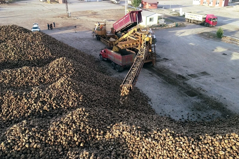 Erzurum ve Erzincan