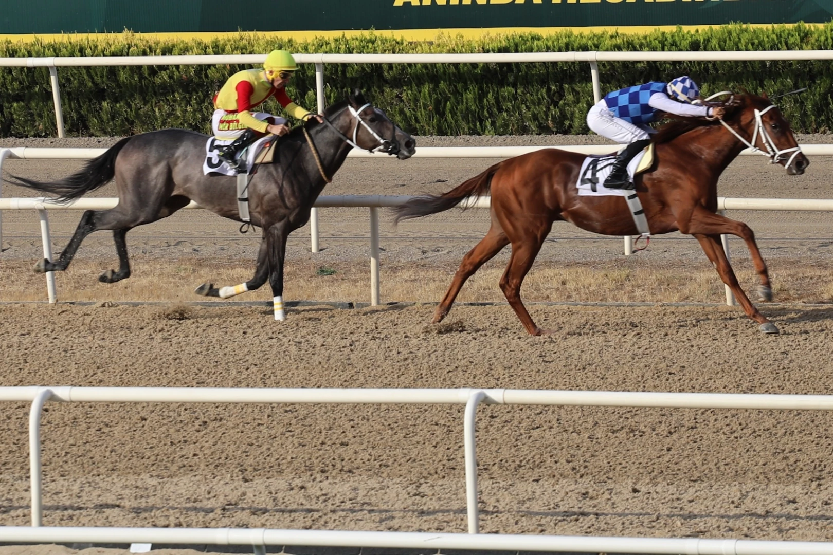 Bursa Büyükşehir Belediye Başkanlığı Koşusu