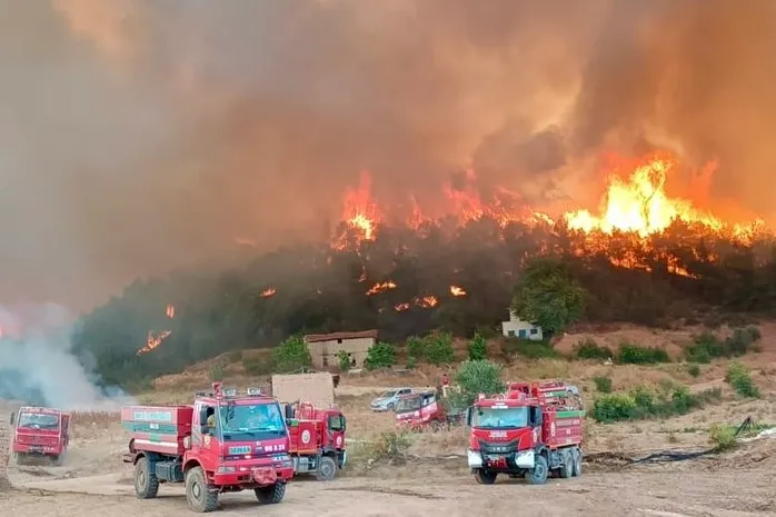 Orman yangınlarıyla mücadelede gönüllülere yeni haklar... Orman gönüllüleri de