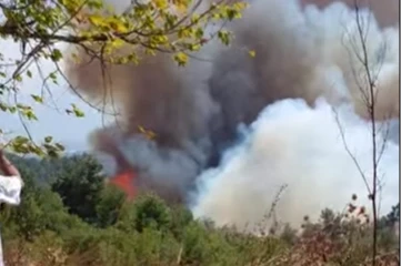 Bursa Gündoğdu Tepesi’nde orman yangını