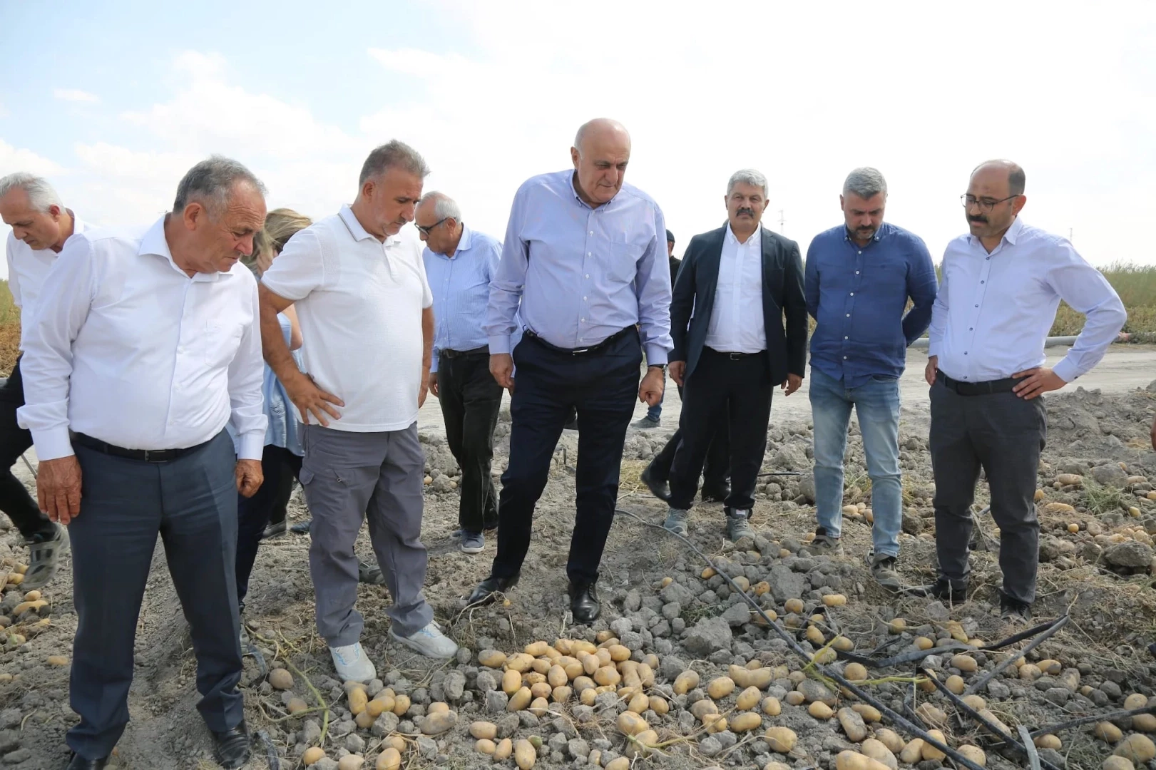 Konya Şeker’den yerli patates tohumu müjdesi... 2027’de dışa bağımlılık bitecek