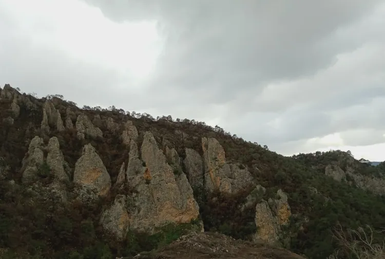 Bilecik'in saklı hazinesi... “Canlı Kaya” doğa tutkunlarını büyülüyor