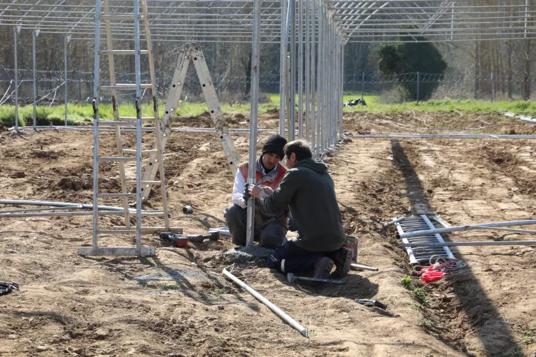 Kocaeli İzmit Belediyesi sebze serası kuruyor