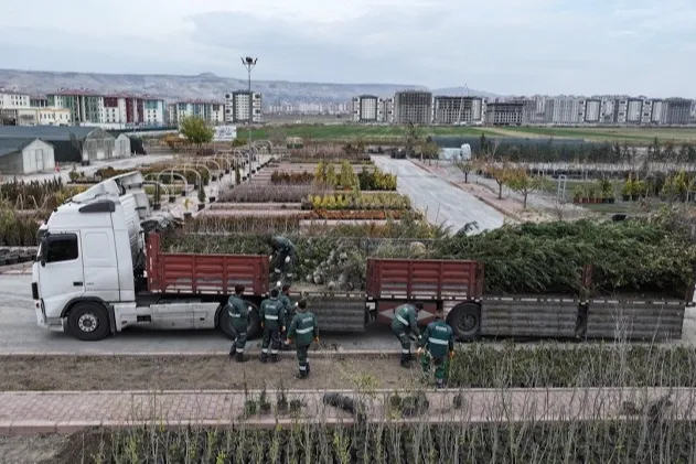 Kayseri Kocasinan'dan ağaç dikme rekoru