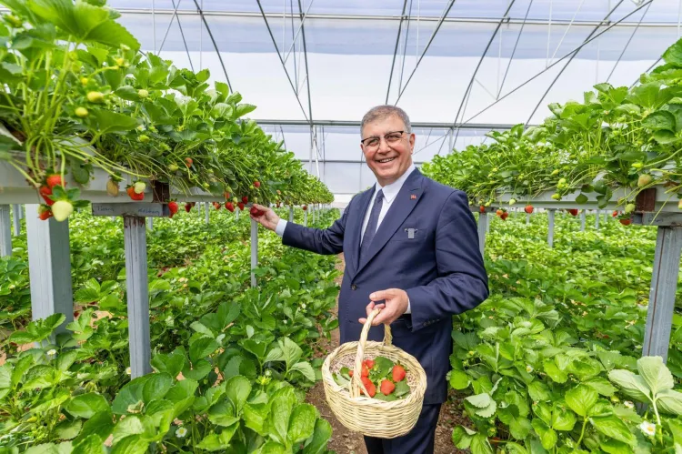 İzmir kırsalında büyük hamle... Destek 1,4 milyara çıktı