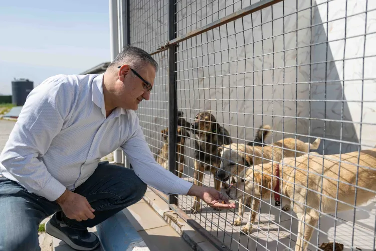 İzmir Bornova’da can dostlara büyük destek