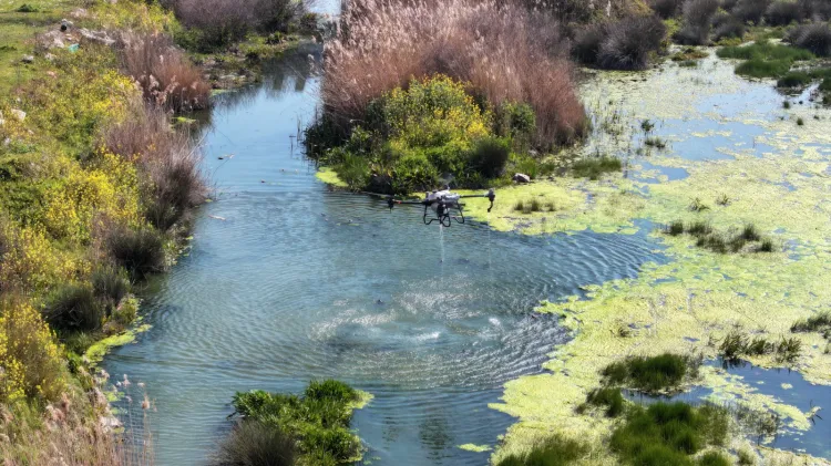 Manisa Büyükşehir'den vektörle mücadele mesaisi