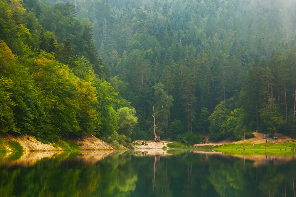 Doğa Koruma ve Milli Parklar'da yeni dönem... Yetkiler artırıldı, cezalar yükseltildi