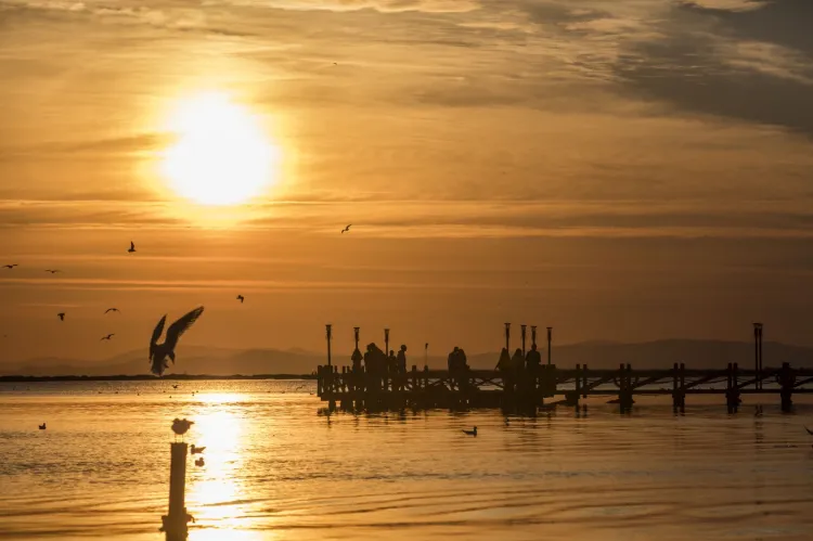 Sağlıklı körfez için bir adım daha... İzmir Körfezi’nin röntgeni çekilecek
