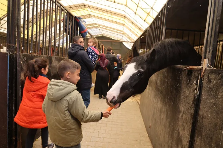 Kocaeli'de 230 çocuk binicilikle tanıştı