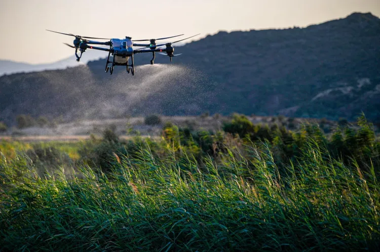 İzmir’de çevresel yoğun mesai