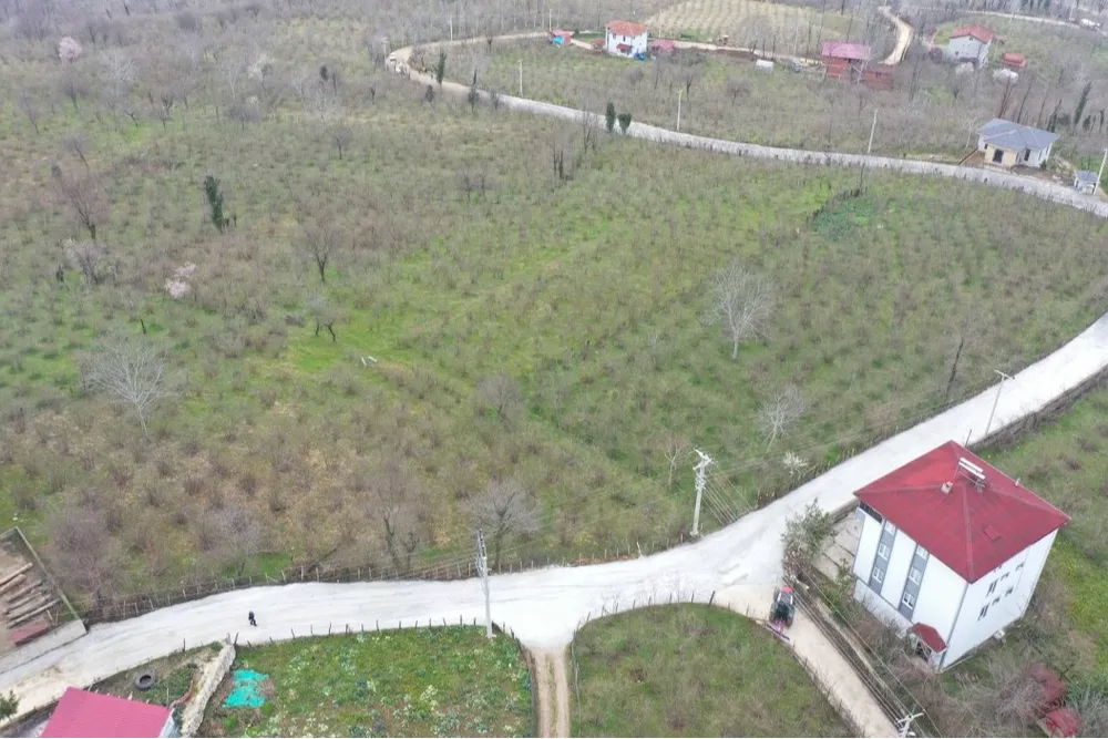 Ordu Büyükşehir’den Kumru’da yol seferberliği