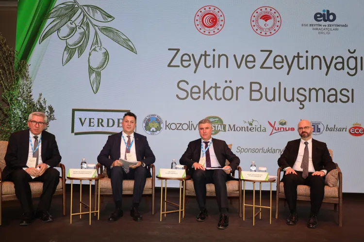 Zeytinyağında çıkış arayışı... Hedef doğru rekolte ve AB kotası