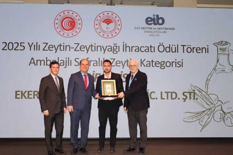 Zeytinyağında çıkış arayışı... Hedef doğru rekolte ve AB kotası