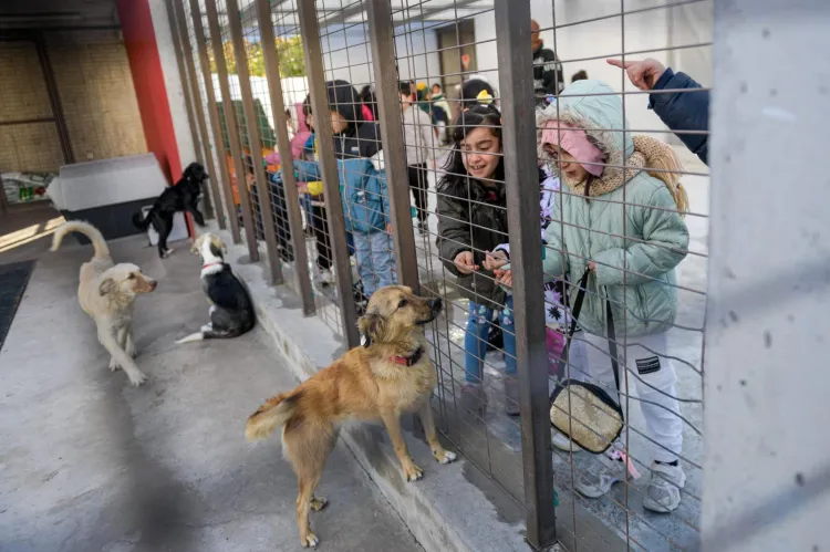 İzmir’de “tek sağlık” hamlesi