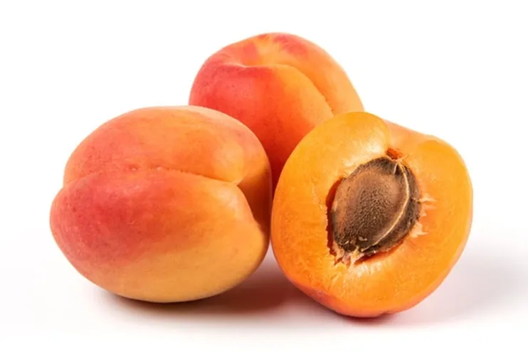 Bitkisel ürünlerde en yüksek yeterlilik kayısı ve zerdalide