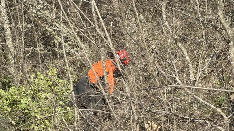 Babası ormanda hayatını kaybetti, o baltayı elinden bırakmadı!